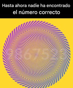 555557581 1408209017404548 5930713425103053852 n