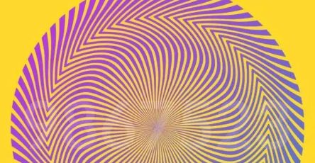 555557581 1408209017404548 5930713425103053852 n