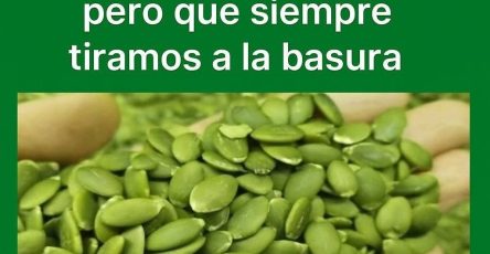 555852610 1334286641431014 2742361079668358408 n