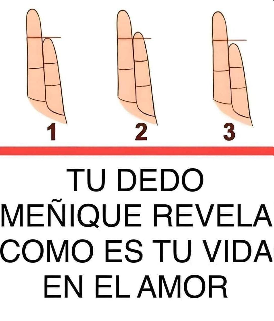 637365603 2147009049445091 5334356522477933772 n (1)