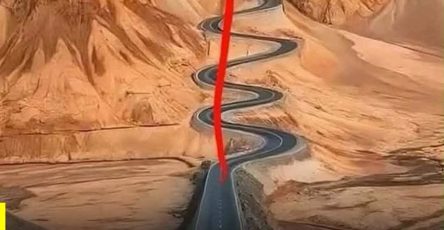 707007475 995389689650559 734844619991563555 n