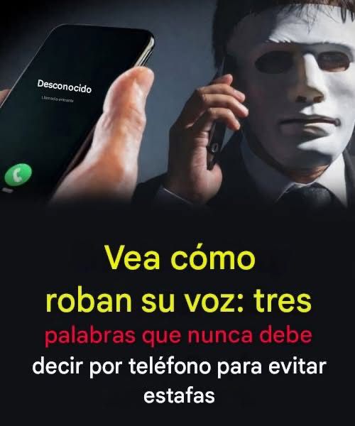 715291962 122229976670107826 5642329930301848886 n