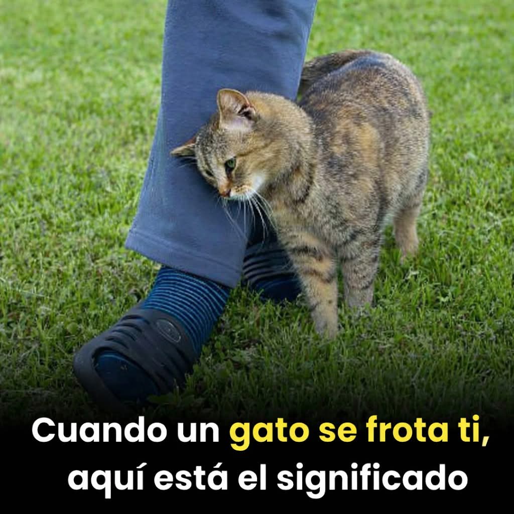 FB IMG